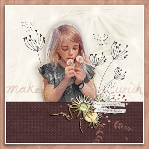 MAKE A WISH