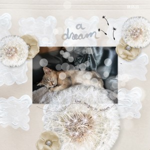 230509_Pip Dream