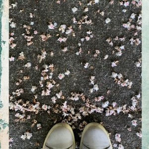My View 5.4.25