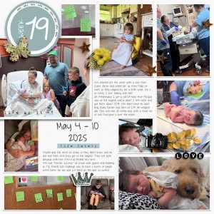 2025 | Week-19