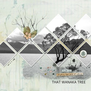 WANAKA