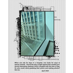Inspiration-Chall_May2025_flowersgal_sq_web