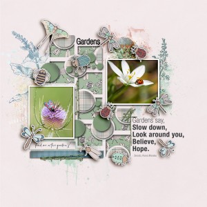 SOSN_may21_LM_JJD_Gardens