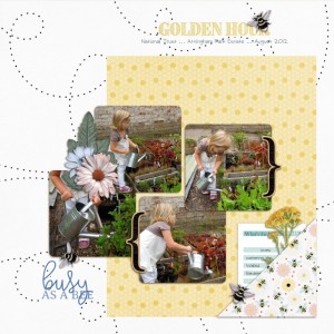 Watering the Garden