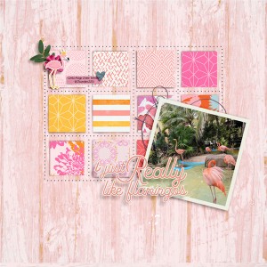 EHStudios x Designed by Soco - Flamazing Flamingos