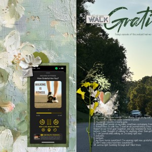 2025-06-01-journal-walk-gratitude-list