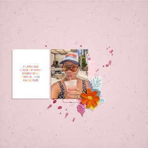 EH Studios x Designed by Soco_Flamazing - Flamingo State of Mind