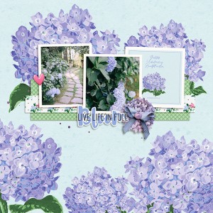 Hydrangeas v.2