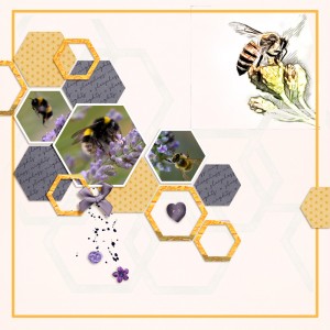 Bees
