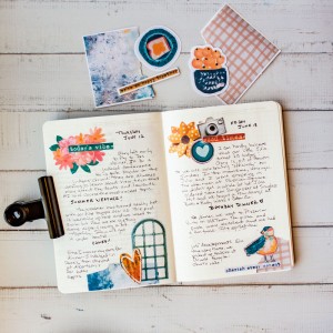 Daily Journal