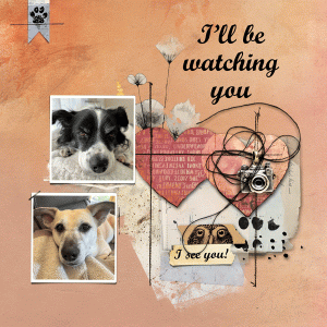 HMVChallenge#12_Watching_janisn