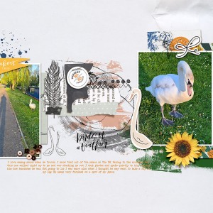 Birdsofafeather
