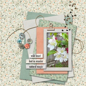 Slow Scrap_June23_janisn