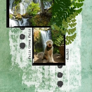 Falls Creek Falls Hike
