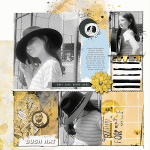 Hatitude-rp