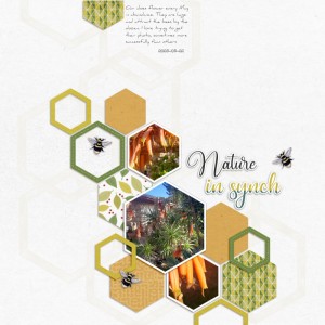 2025-05-22_NatureInSynch