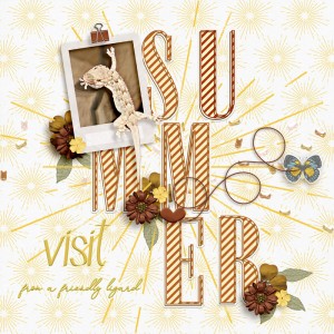 Visit