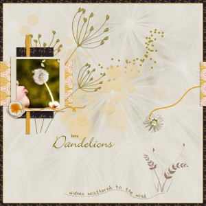 Dandelions