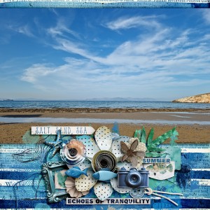 Salt sand sea