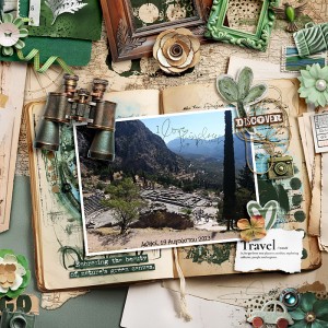 Discover