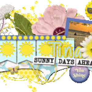 Summer Camp 2025 Siggie Refresh July