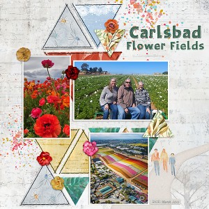 Zipline Challenge Flower Fields