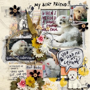 FF_jul18_LBW_NBK_My Best Friend