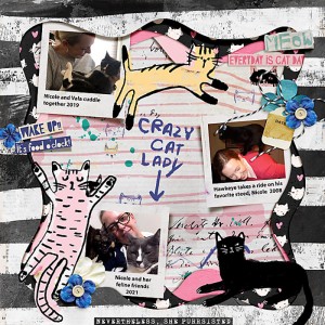 2008 -2021 Crazy Cat Lady