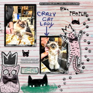 Crazy Cat Lady