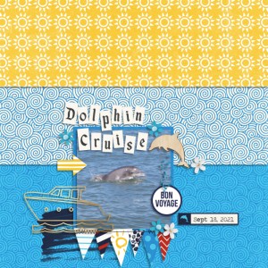 Dolphin Cruise