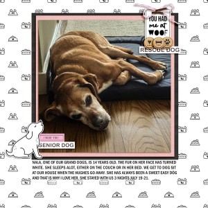 2025-7-20-nala-barnyard buddies week 4