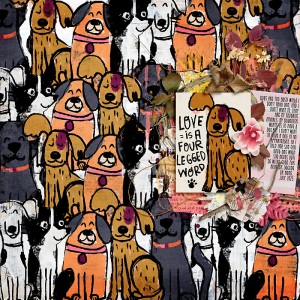 Dogs