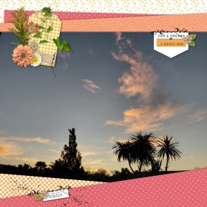 2025-08-03_Sun&Dreams