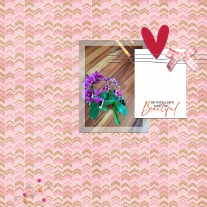 Beautiful-orchids