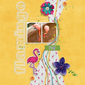 Flamingo Fun