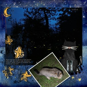 250607_cat Fireflies