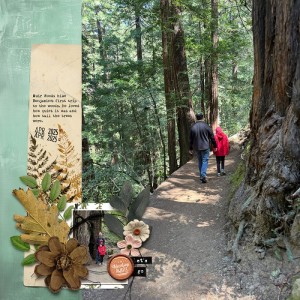 SC2025_week6_NaturePhotoS