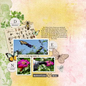 2025-8-7-bees-and-butterflies week 6 at one with nature