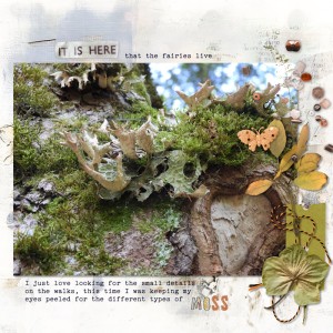 250611_moss
