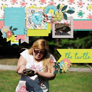 the turtle