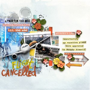 Flight Cancelled