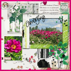 Parkland Peonies