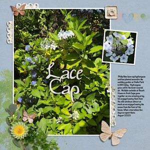 Lace Cap