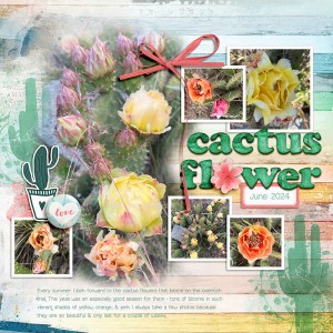 cactus flower