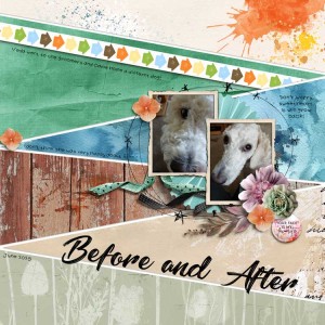 Before-after