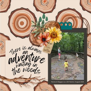 Adventure in the Woods