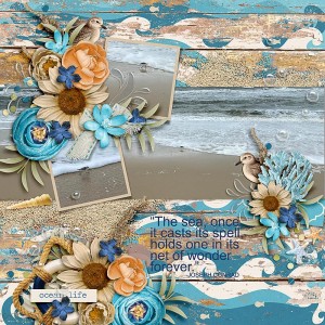 Sandpipers