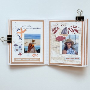 Mini album (hybrid)