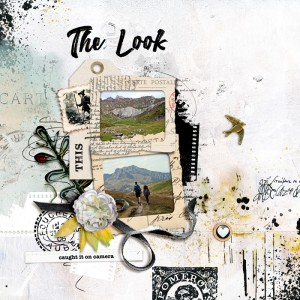 Lynn Grieveson August 2025 Challenge - Template Mix-up