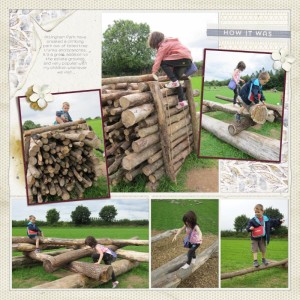 Log Climbing